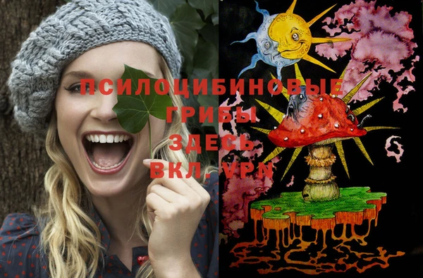героин Алзамай