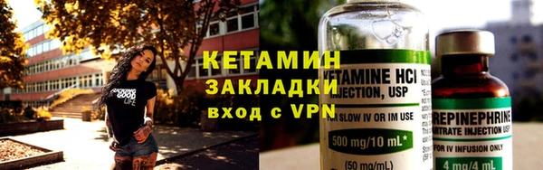 амф Гусев